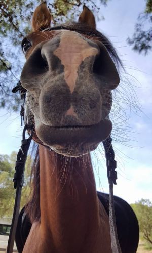 4cbefb97539368f3cdfde2099111a2dc